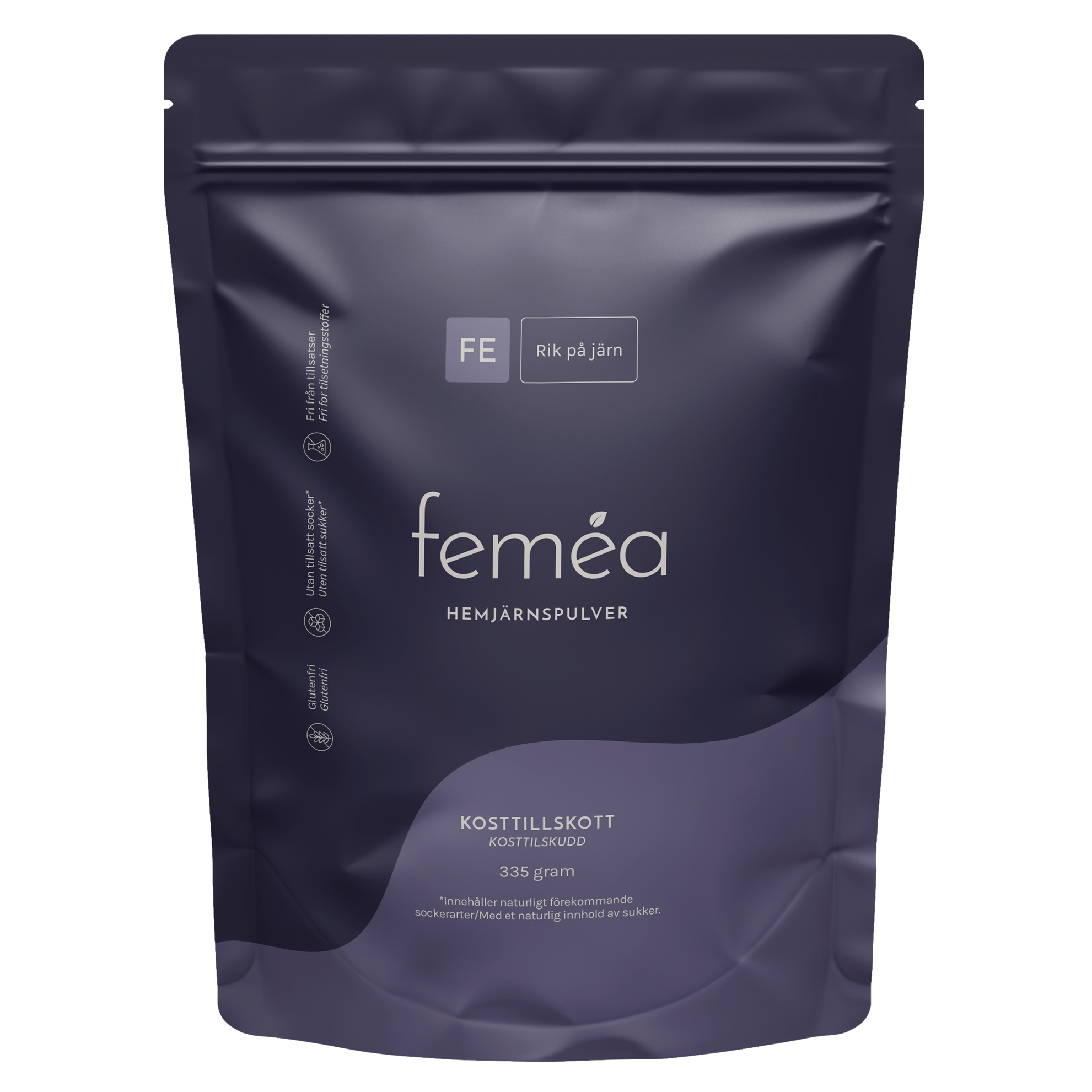 Femea_2025_-_Mockup.png