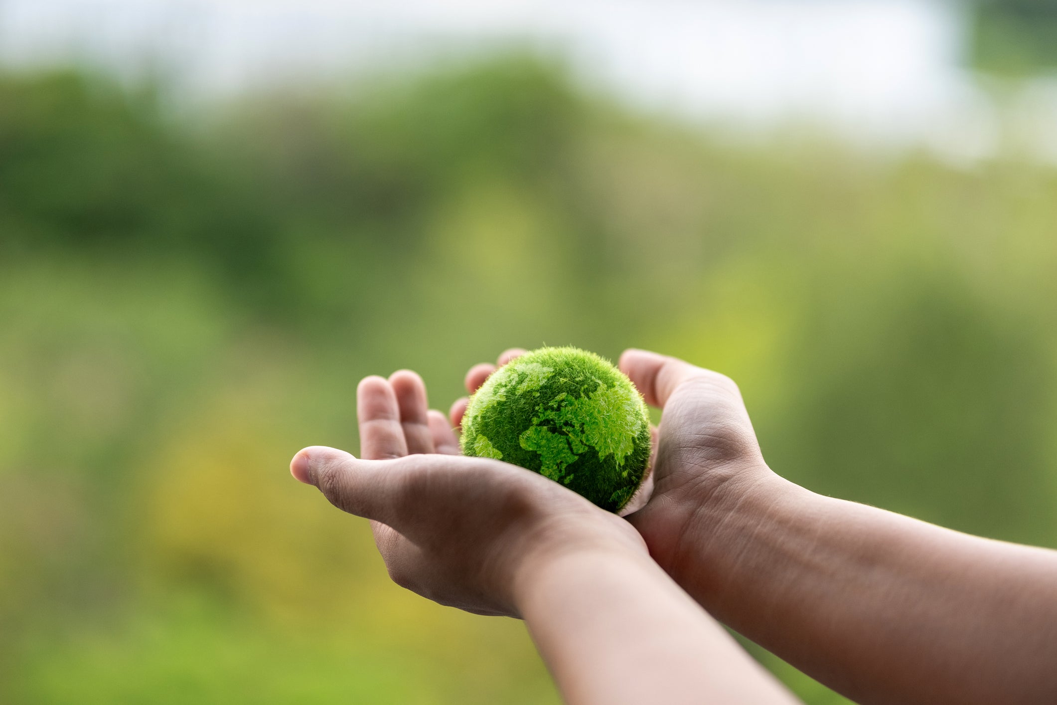 iStock-2137646337_1.jpg